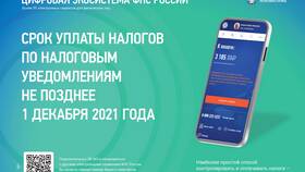 Как оплатить налог на квартиру через Госуслуги в Уютерра