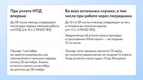 Как самозанятому зарегистрировать ИП и сохранить НПД в Уютерра