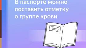 Как узнать ИНН по паспорту в Уютерра