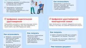 Миграционный учет через Госуслуги: сроки и особенности