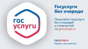 Почему на Госуслугах не открываются услуги в Уютерра