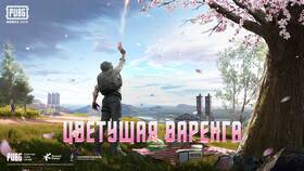 PUBG Mobile Lite: чем отличается от обычной версии в Уютерра