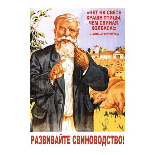 Плакат СТ-Диалог Развивайте свиноводство!, СОВ-011, бумага, 40х60 см в Уютерра