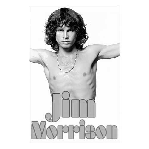 Постер СТ-Диалог Jim Morrison, МУЗ-314, бумага, 60х90 см в Уютерра