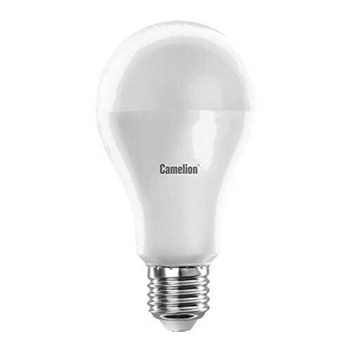 Светодиодная лампа Camelion BasicPower LED17-A65/845/E27 12309 Белый в Уютерра