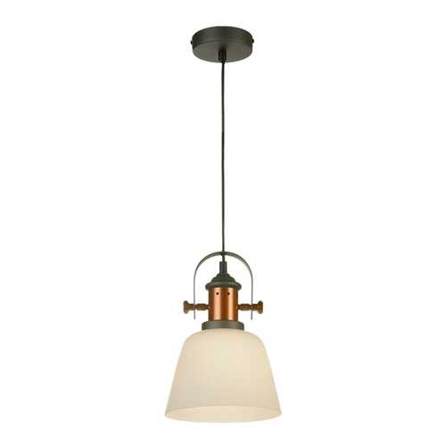 Подвесной светильник Loft Binghamton GRLSP-9846 в Уютерра