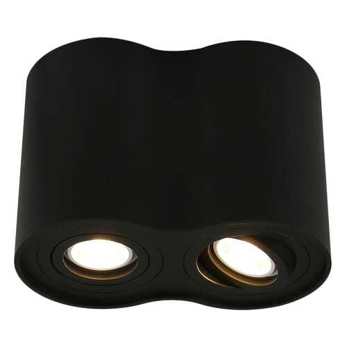 Потолочный светильник ARTE LAMP Falcon A5644PL-2BK в Уютерра