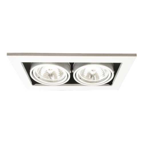 Встраиваемый светильник Arte Lamp A5930PL-2WH Серый в Уютерра